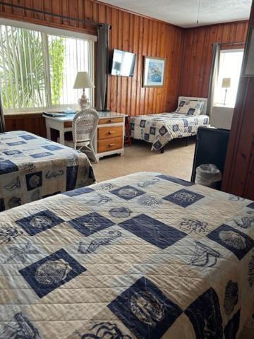 Seahorse Inn New Smyrna Beach Zewnętrze zdjęcie